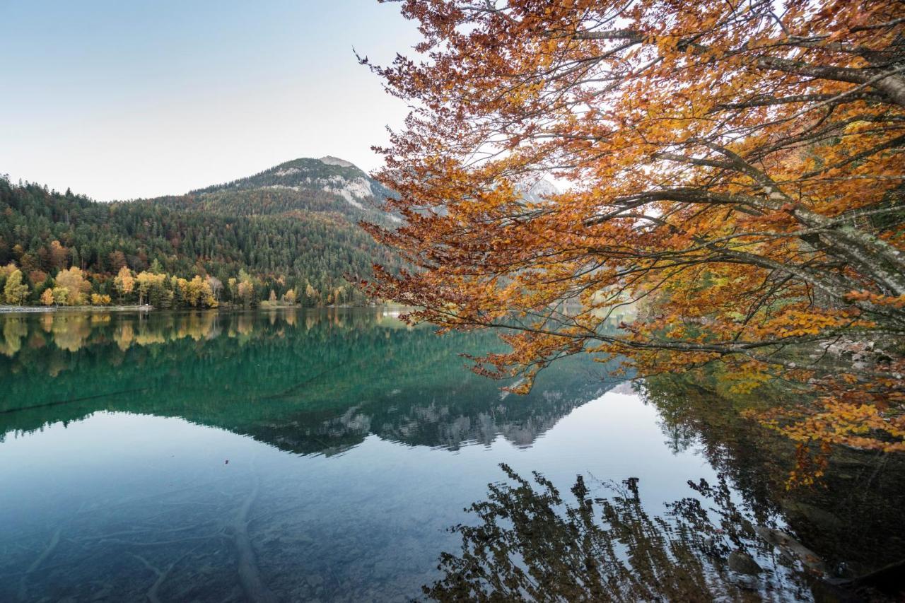 Mountain Fresh - Alpine Easy Stay ゼル エクステリア 写真